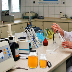 pure natural honey manufacturers exporters suppliers in india punjab ludhiana pure natural honey manufacturers exporters suppliers in india punjab ludhiana